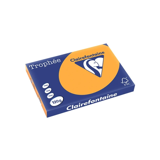 Papier Clairefontaine A3 120g or/pk250v