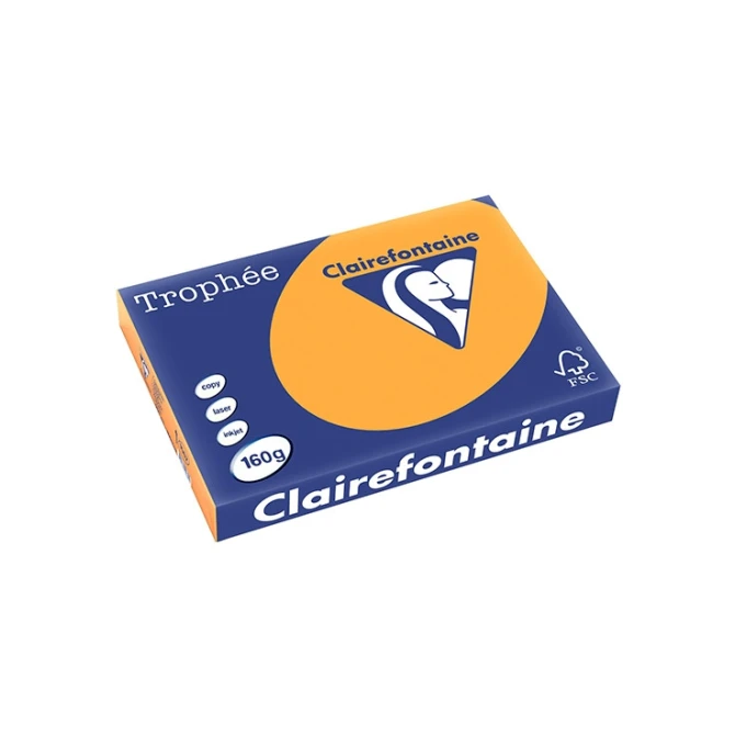 Papier Clairefontaine A3 160g or/pk250v