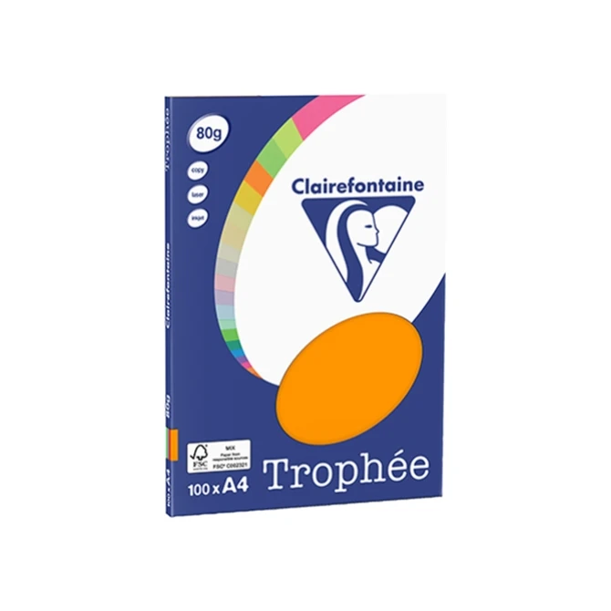 Papier Trophee A4 80g ro/gl/bl/gr (100 vel)