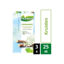 PICKWICK Professional Sterrenmunt Theezakjes Cafeïnevrij 50 g (pak 75 stuks)