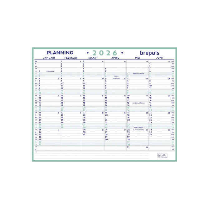 Planner Maxi planning NL 42 x 33 cm