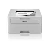 Printer Brother HL-L2865DW