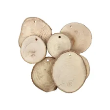 Creotime Houten schijven met gat (pak 25 stuks)