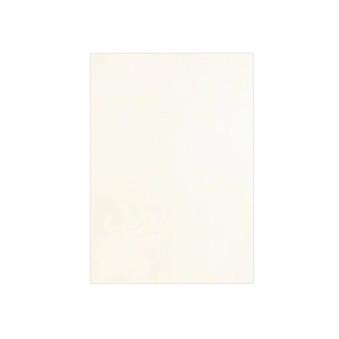 Schutblad BLP leather A4 wit/pk 100 Schutblad BLP leather A4 wit/pk 100