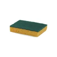 Schuurspons Geel/groen (pak 10 stuks) Schuurspons Geel/groen (pak 10 stuks)