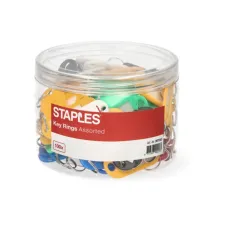 Staples Sleutellabel Assorti (1 pak x 100 stuks)