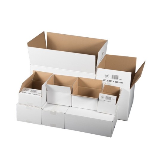 Smartbox Pro dozen 295x195x140mm Enkellaags wit