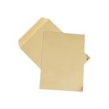Staples Akte envelop gegomde klep- - C4 229 x 324 mm 100 g/m² (doos 250 stuks)