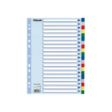 Tabblad ESSELTE 11r A4 PP 20tab kleur Tabblad ESSELTE 11r A4 PP 20tab kleur