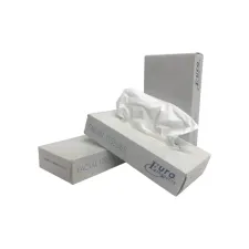 Euro Products 142040 Tissue facial ICE 2-laags wit (100vel) Euro Products 142040 Tissue facial ICE 2-laags wit (100vel)