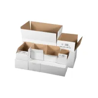 Smartbox Pro dozen 295x195x140mm Enkellaags wit