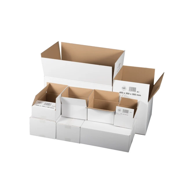 Smartbox Pro dozen 395x295x140mm Enkellaags wit Smartbox Pro dozen 395x295x140mm Enkellaags wit