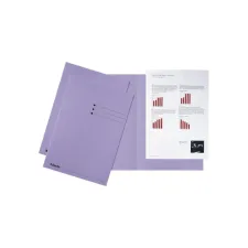 Vouwmap ESSELTE A4 karton 180gr ll (100 stuks) Vouwmap ESSELTE A4 karton 180gr ll (100 stuks)