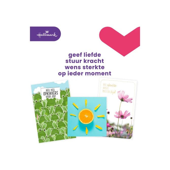 Hallmark Wenskaart Beterschap (pak 12 stuks)