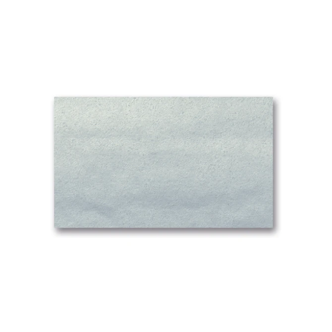 Zijdepapier Folia 50x70cm zilver/pk26v